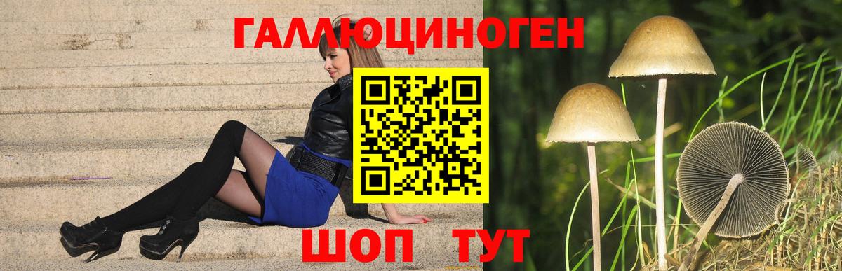 Советск  Галлюциногенные грибы Psilocybine cubensis  Вход с VPN  Галлюциногенные грибы мухоморы 